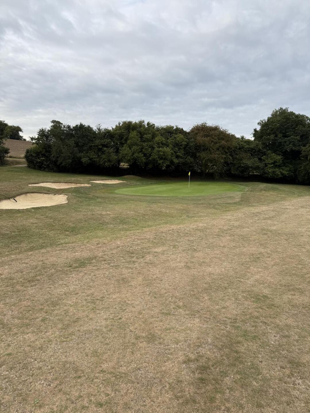 (Photo submitted by WvirzAmtfNJMBBdPuoYR on 08/24/2025)