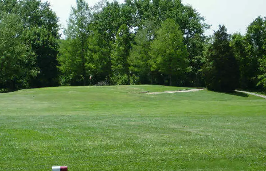 Elmwood GC: #8