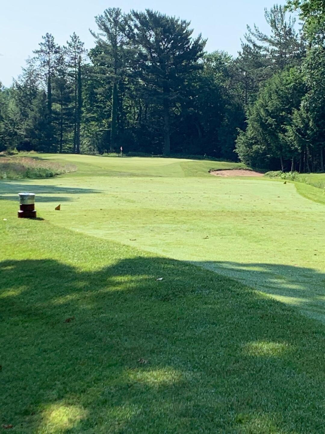 Hole 3 Par 3 (Photo submitted by TheoV on 06/21/2020)