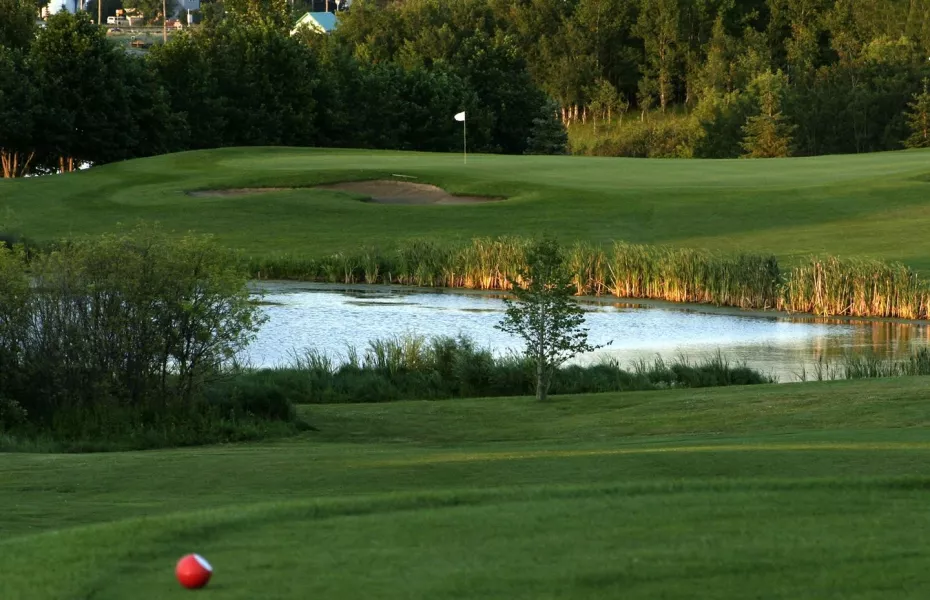 Minnedosa CC