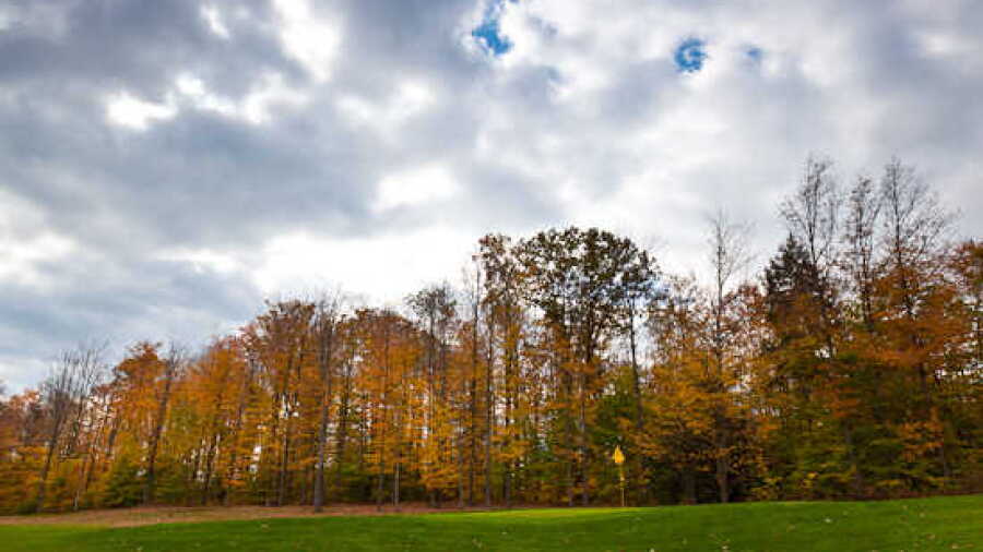 Canajoharie CC: #6