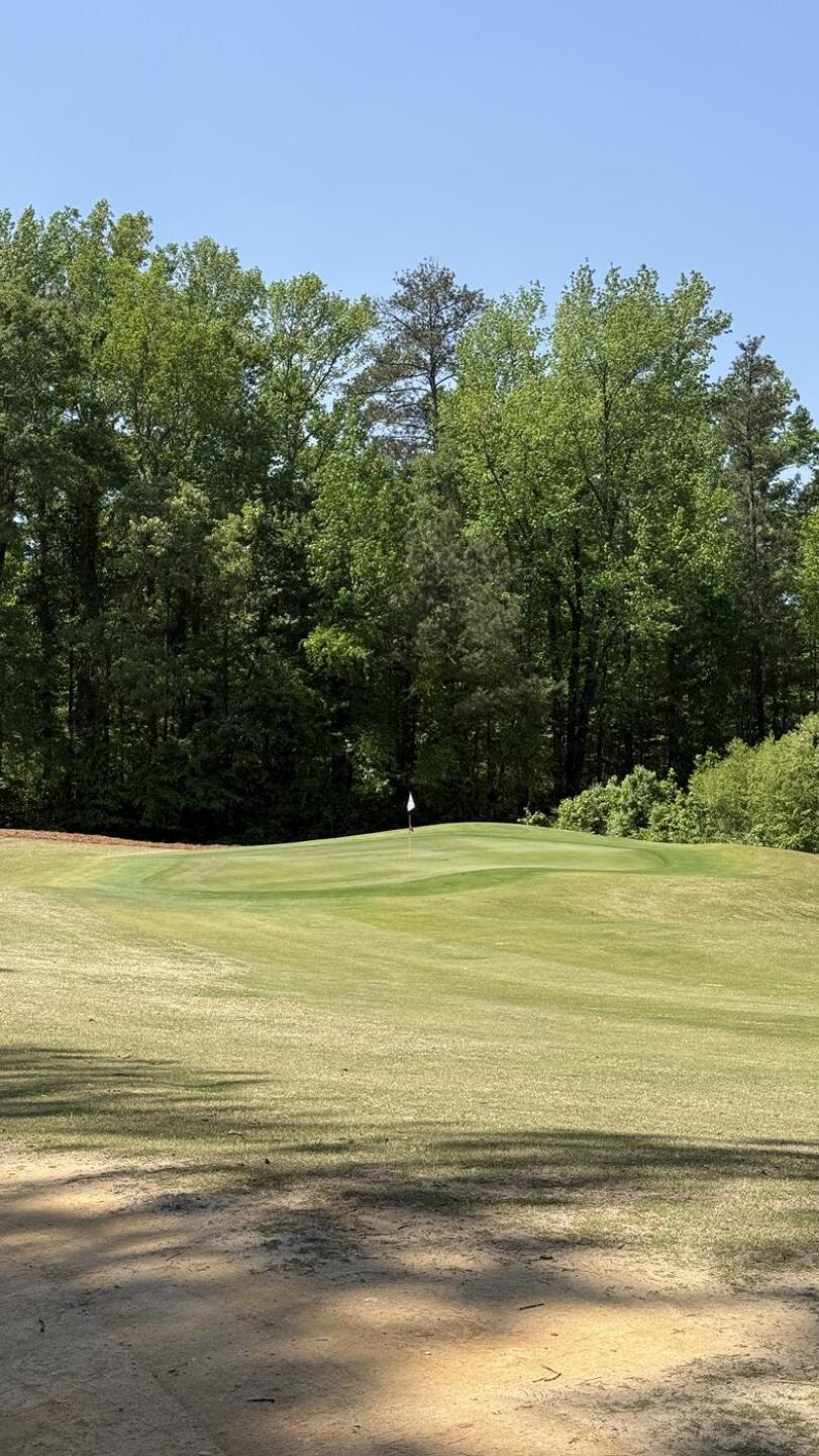 (Photo submitted by ihgu1fO53huR8dWOdbwm on 04/22/2026)