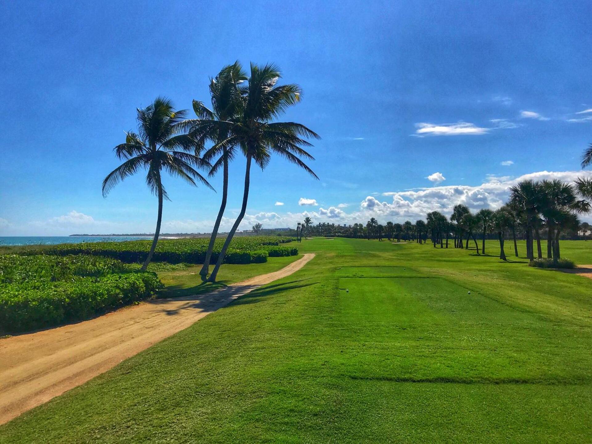 Riomar, hole 7 (Photo submitted by TimGavrichGP on 11/16/2018)