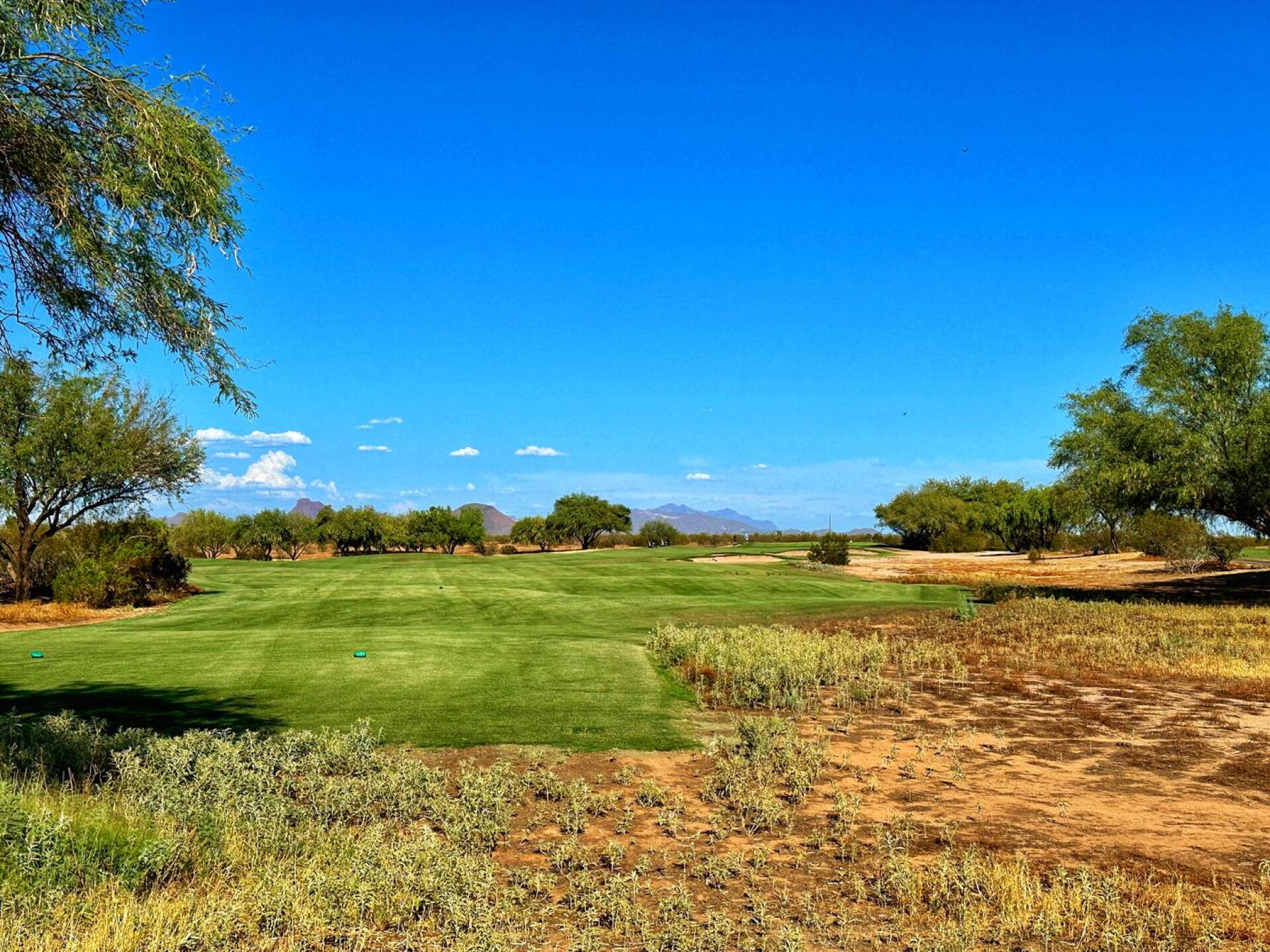 Talking Stick (O'odham), hole 13 (Photo submitted by TimGavrichGP on 11/29/2024)
