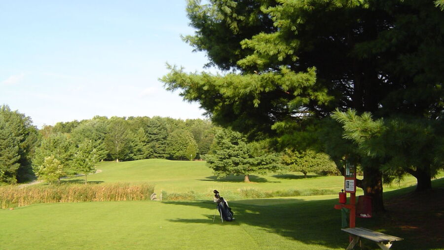 Trumansburg GC: #2