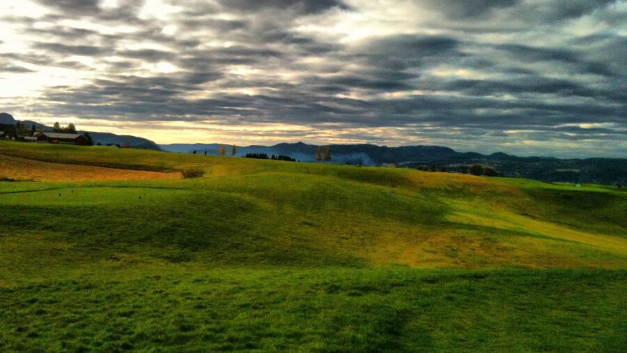 Byneset Golf
