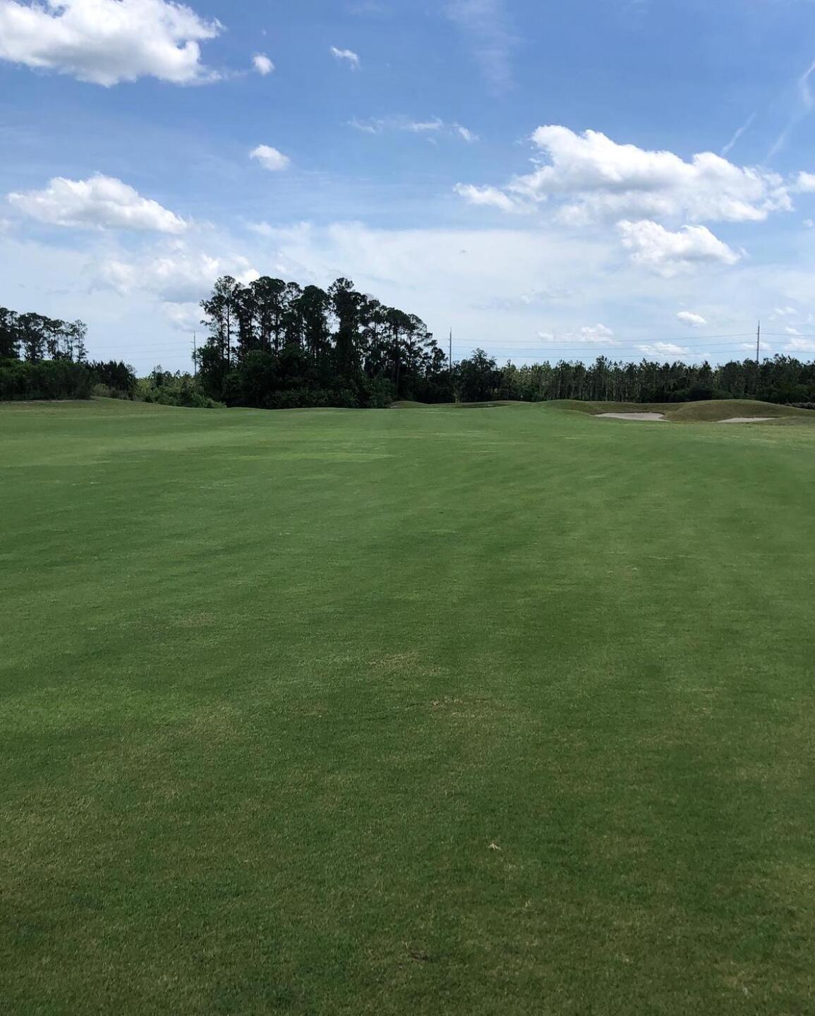 (Photo submitted by u000006783371 on 04/23/2020)