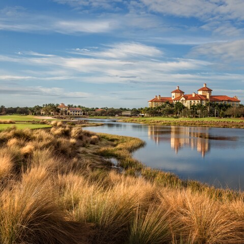 Tiburon_Gold_09A_1-17.jpg