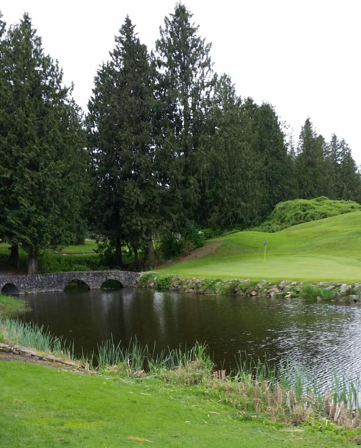 #16 - A Solid Par 3 (Photo submitted by dove694 on 04/14/2016)