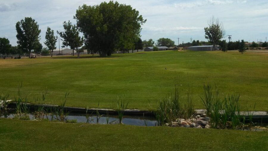 Wheatland GC: #8