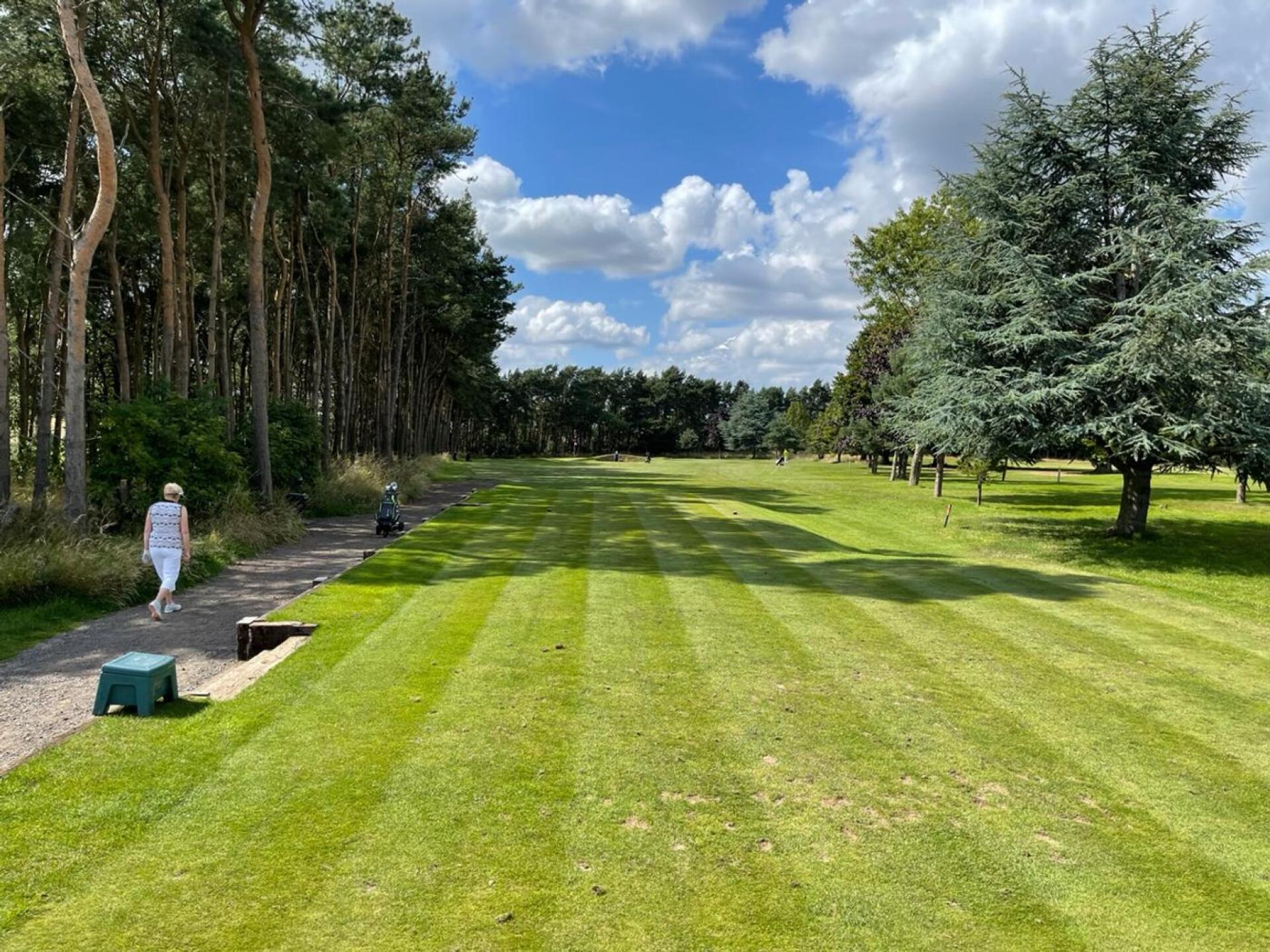 (Photo submitted by laurie60 on 07/30/2023)