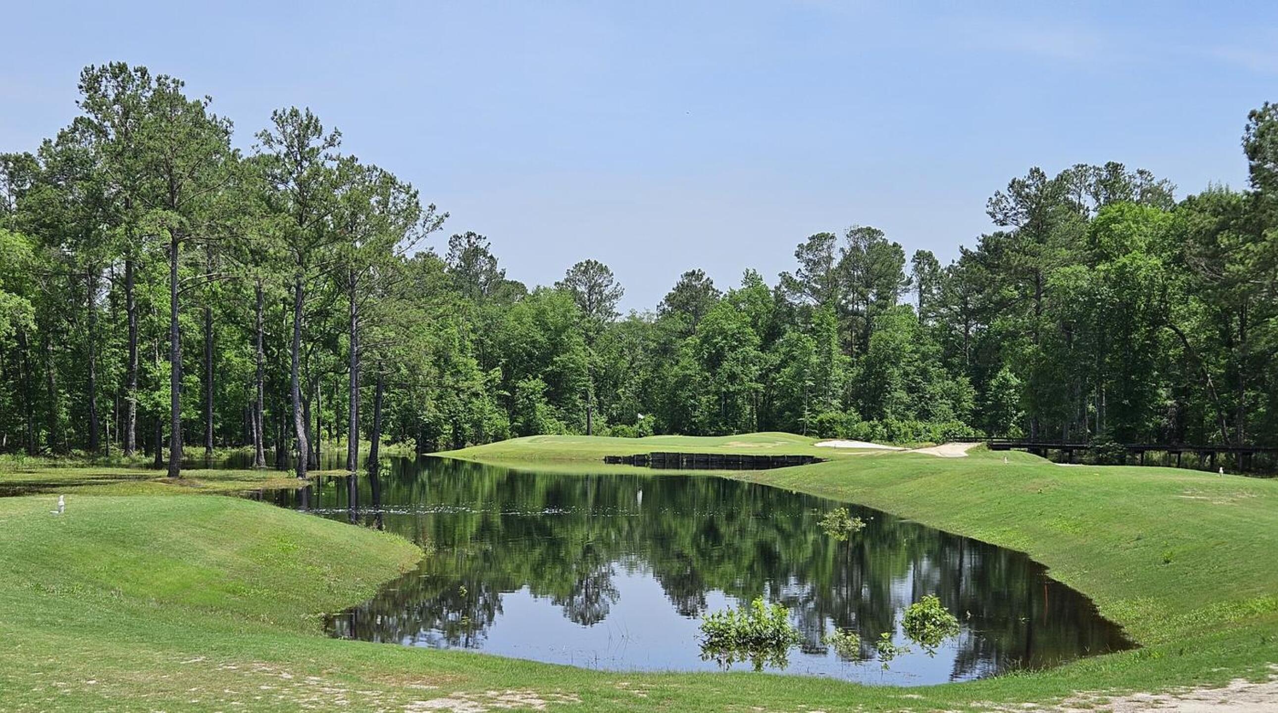 (Photo submitted by dannyOL on 05/25/2025)