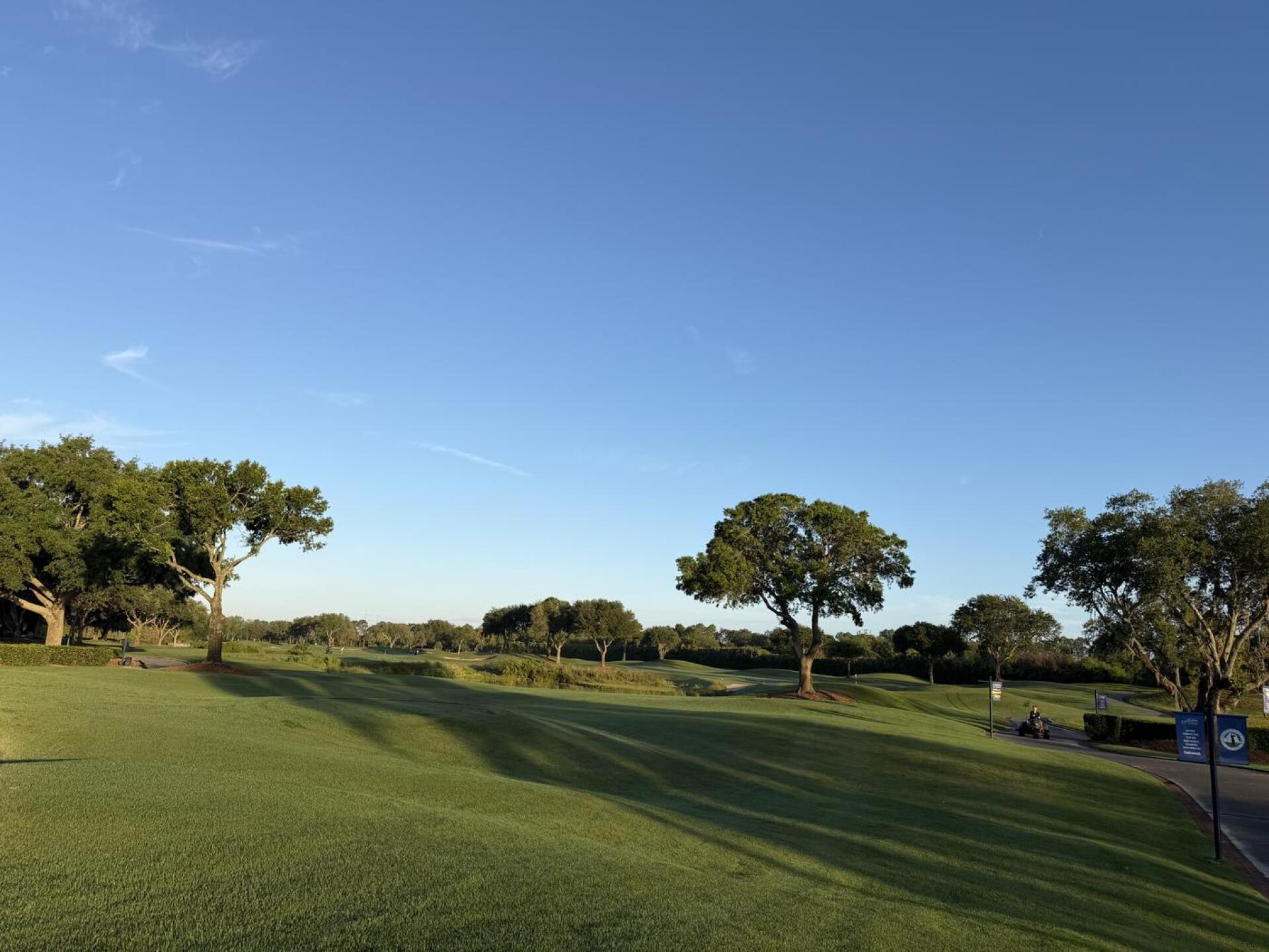 (Photo submitted by rvictoria1 on 04/12/2026)