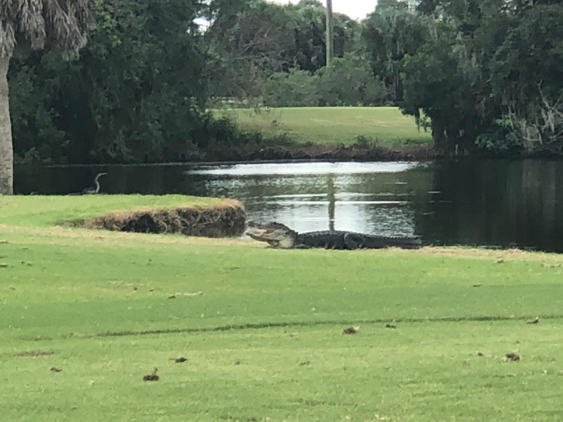 (Photo submitted by u314160821631 on 10/04/2020)