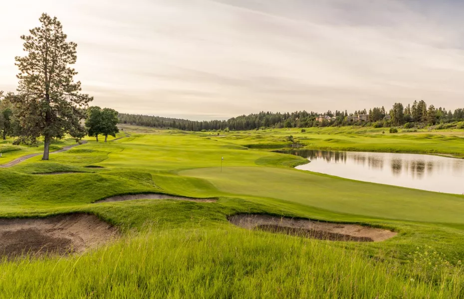 Running Y Ranch: #18