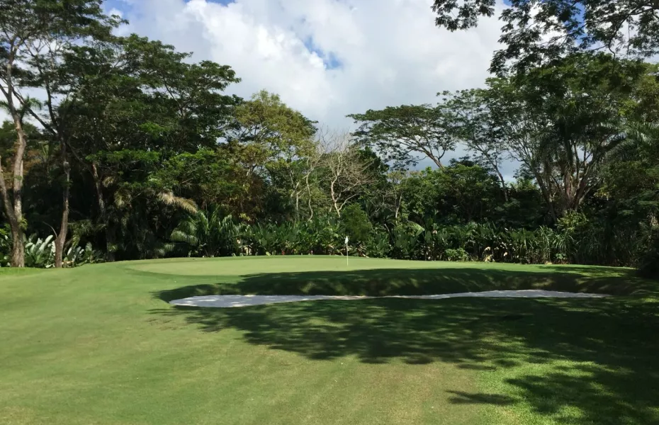 Los Delfines GCC: #4