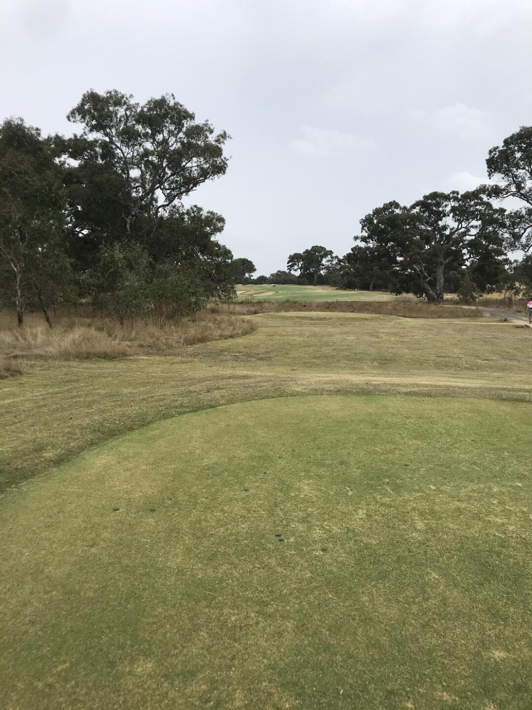 Squint a little and you might be at Victoria GC (Photo submitted by theglasseyegolfer on 03/08/2021)