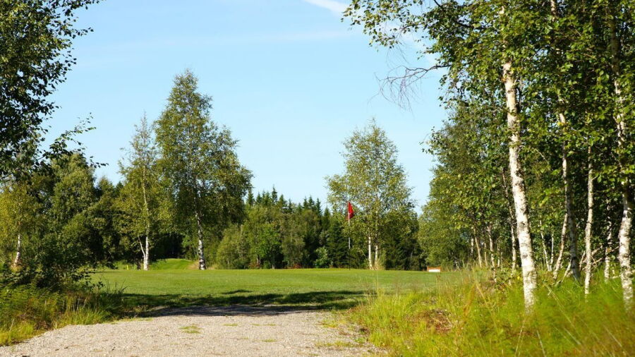 Namsos GC: #8
