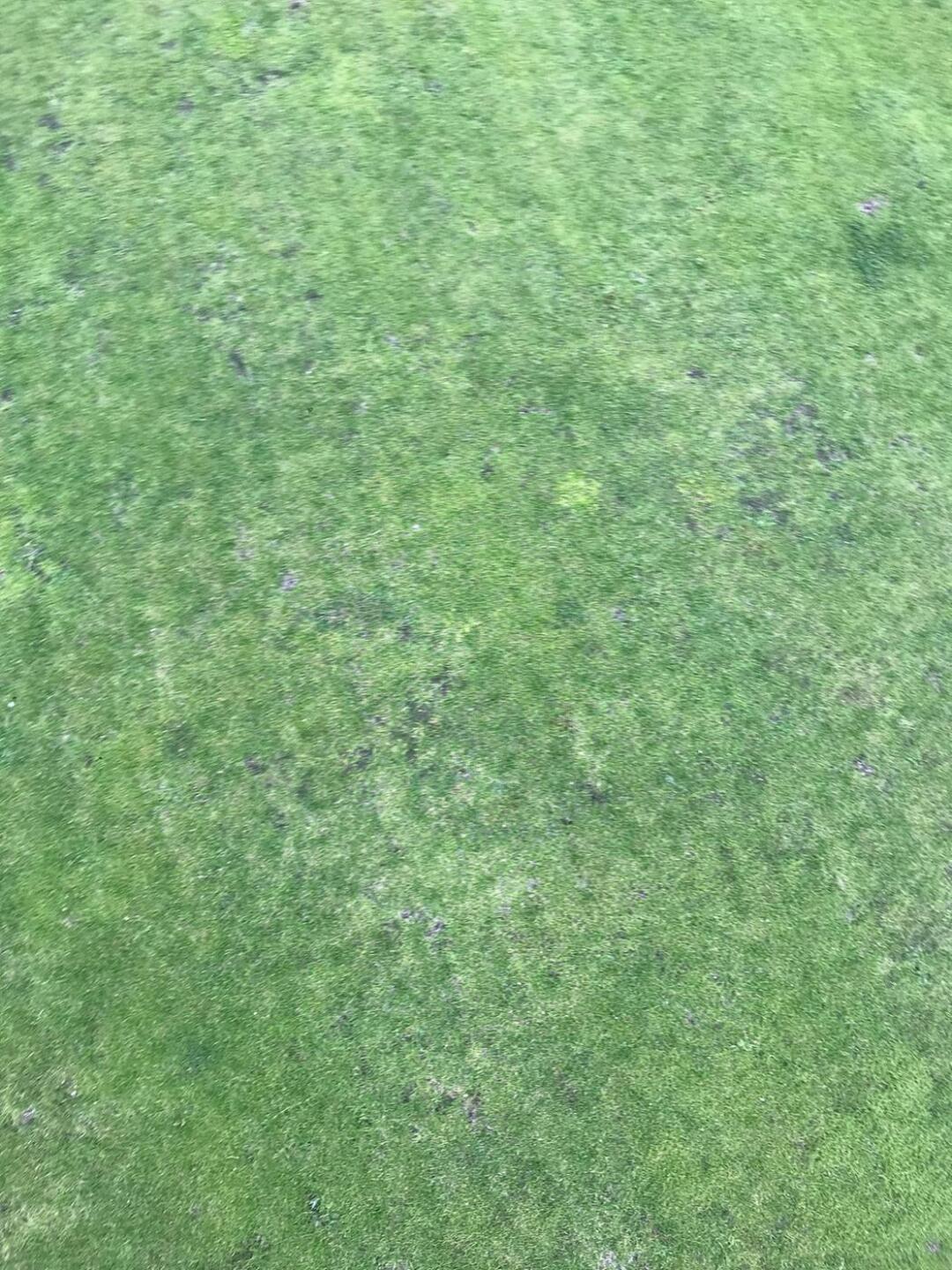 This was the good part of the Green !!! (Photo submitted by u314160533902 on 08/01/2020)