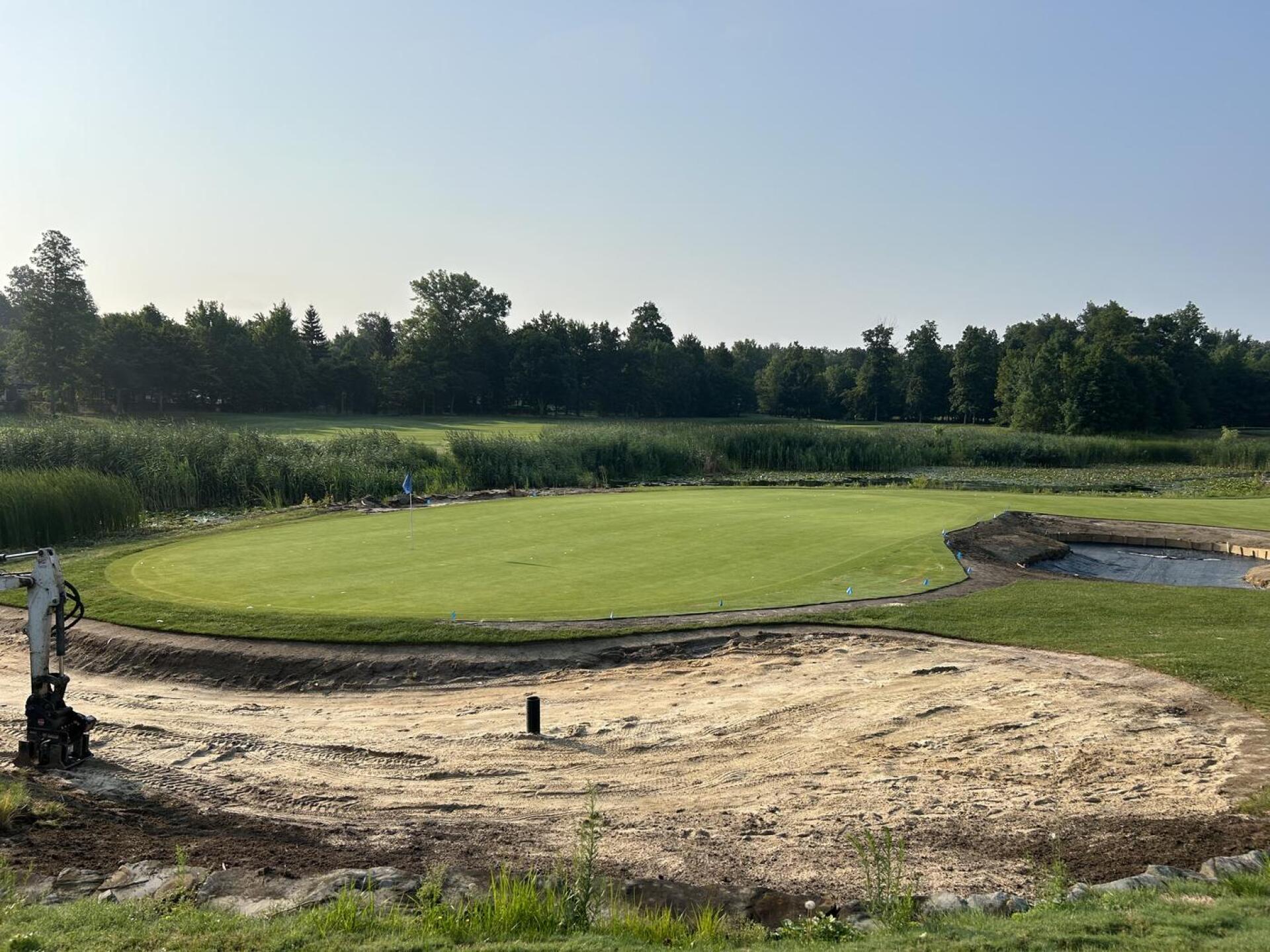 (Photo submitted by hornedwoodchuck on 08/12/2024)