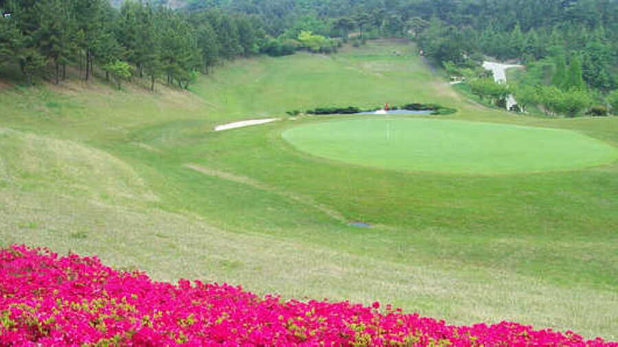 Ulsan CC - East: #8