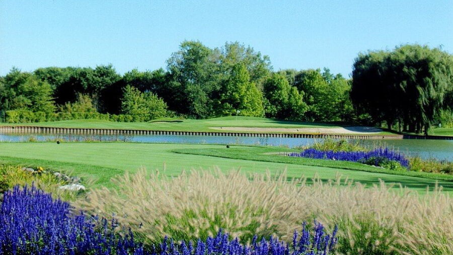 The Grove CC
