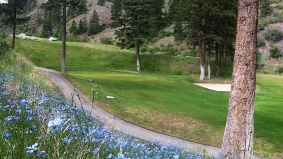 Twin Lakes GC
