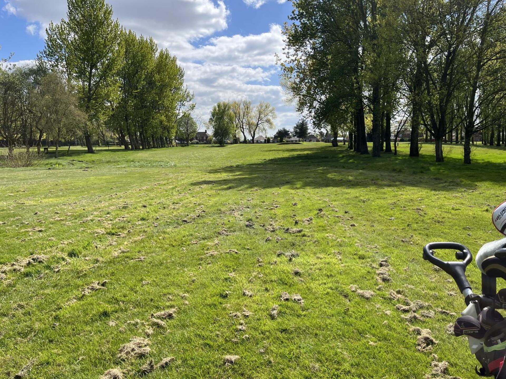 (Photo submitted by John3620 on 04/24/2024)