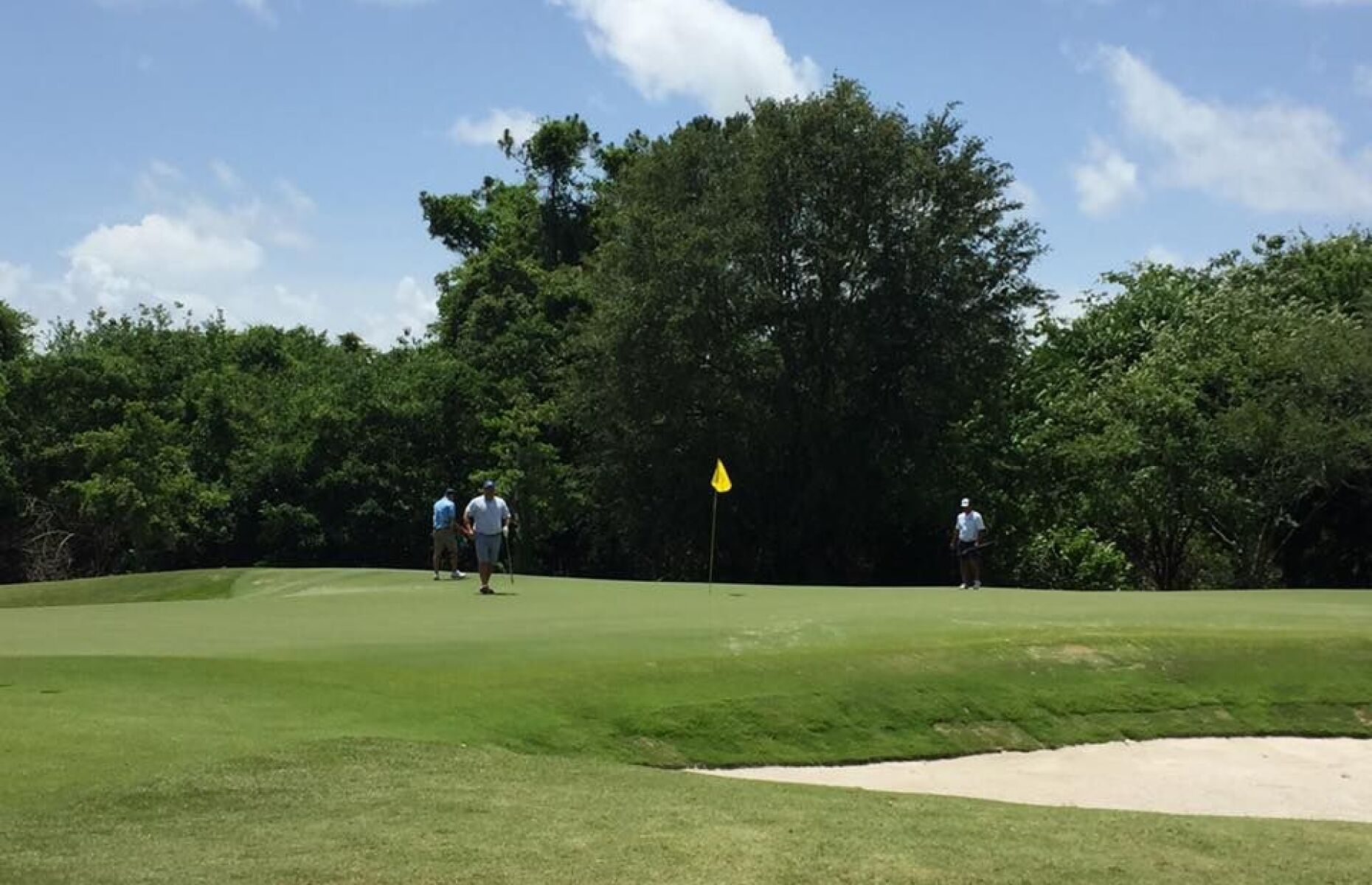 Get a feed with the latest reviews for this course