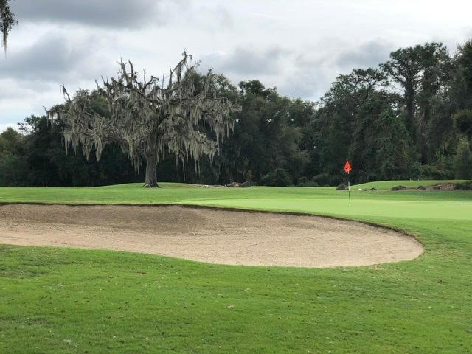 (Photo submitted by roodhistory on 11/06/2019)