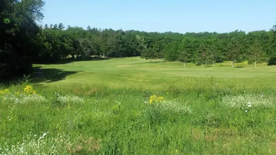 The Golf Courses of Lawsonia - Woodlands - 9th