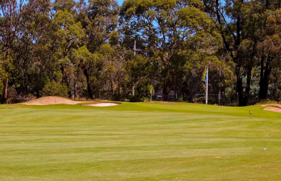 Glen Waverley Public GC
