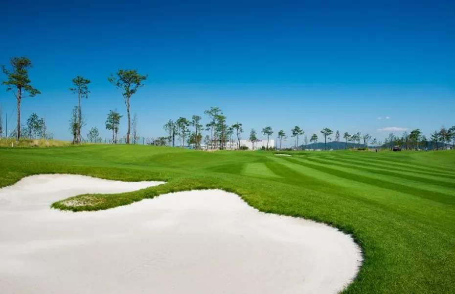 Bear's Best CheongNa GC