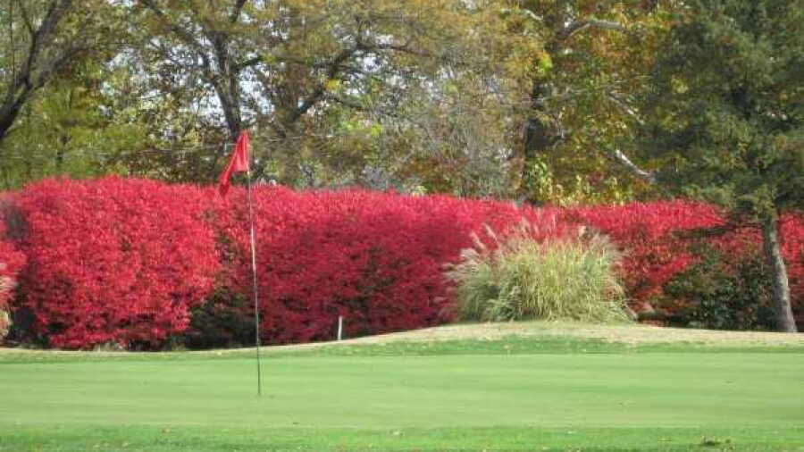 Rolling Hills GC - Championship: #18