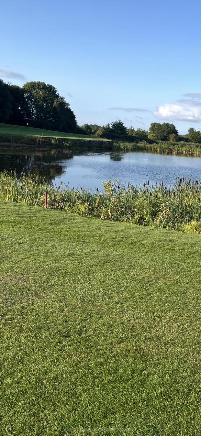 (Photo submitted by Trev007 on 08/11/2025)