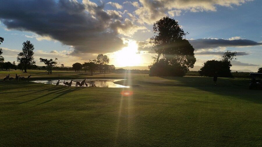 Mareeba GC