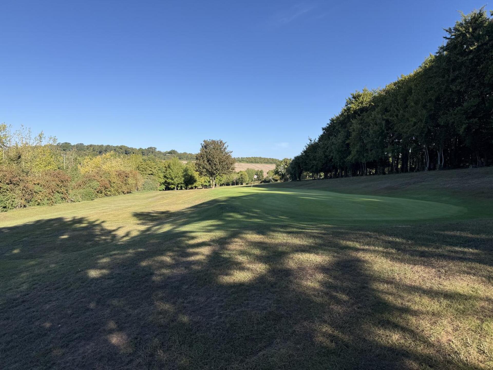 (Photo submitted by 8oWFpWiPr0V6qR5Z9Dyv on 08/31/2025)