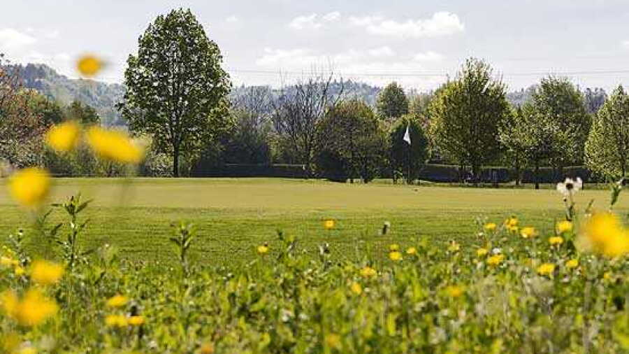 Entfelden GC: #8