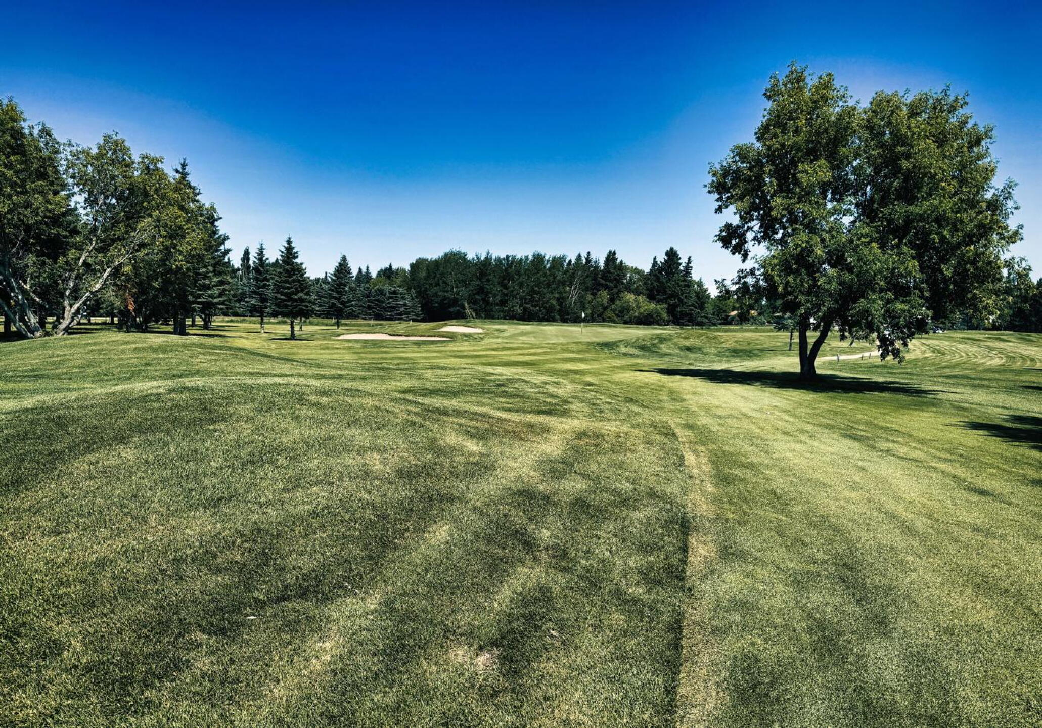 Meadow Lake GC, Hole 8, Par 5, 487 yds, 80 yds out (Photo submitted by DYakimec on 08/29/2026)