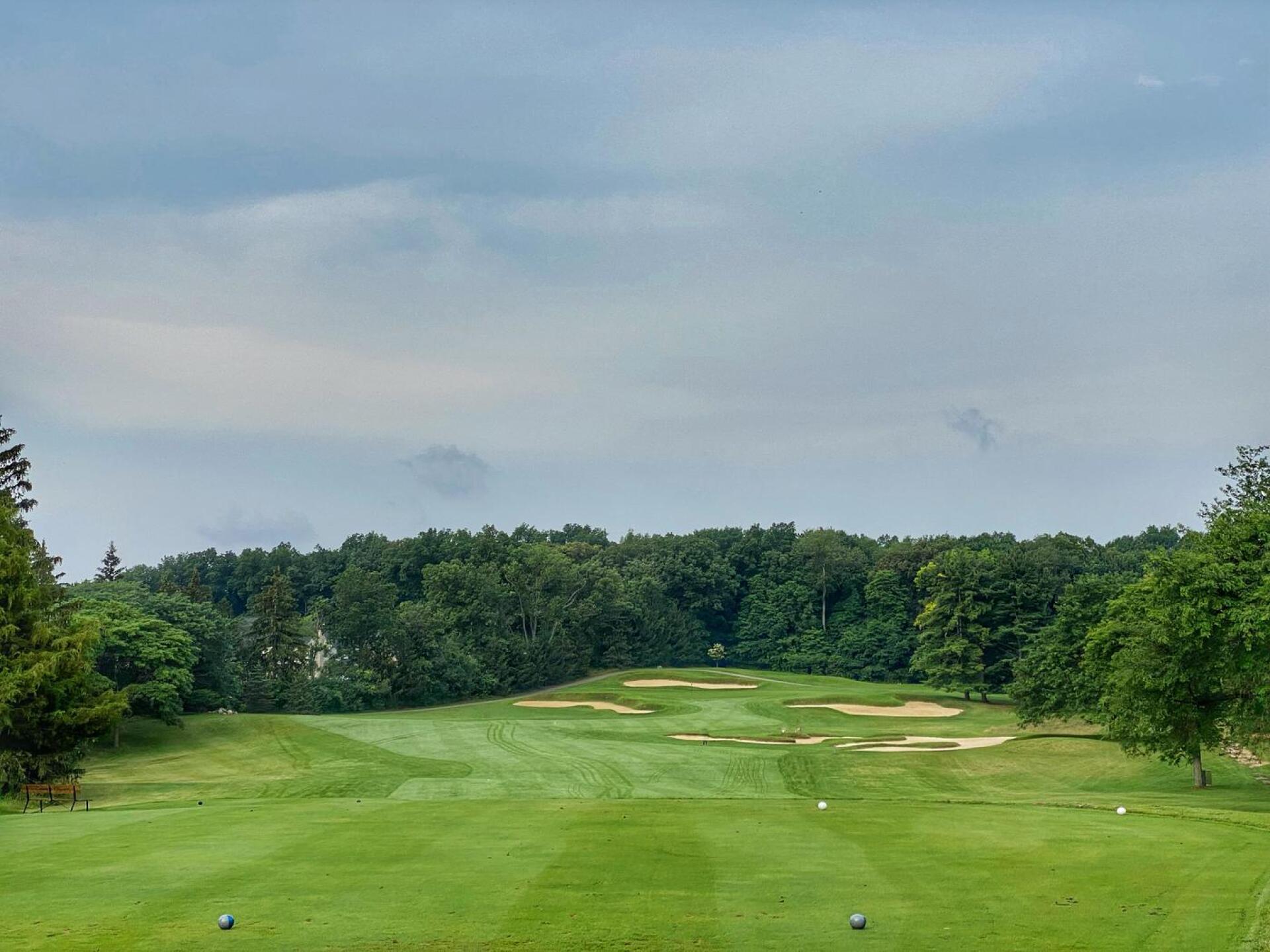 (Photo submitted by BrandonTuckerGA on 07/15/2021)