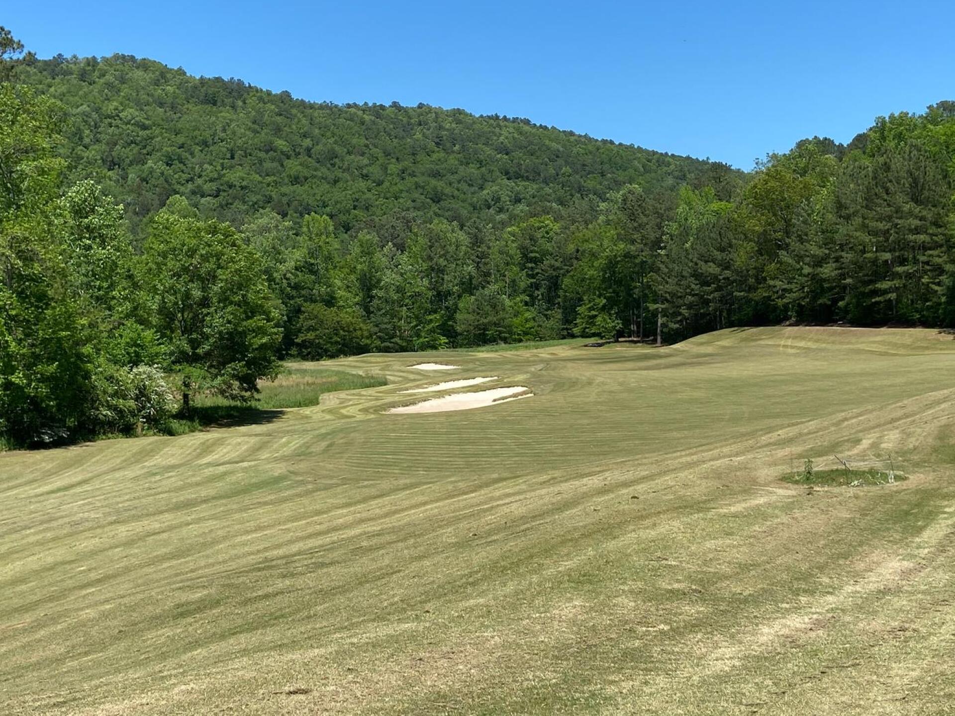 (Photo submitted by andybrindley on 05/03/2020)