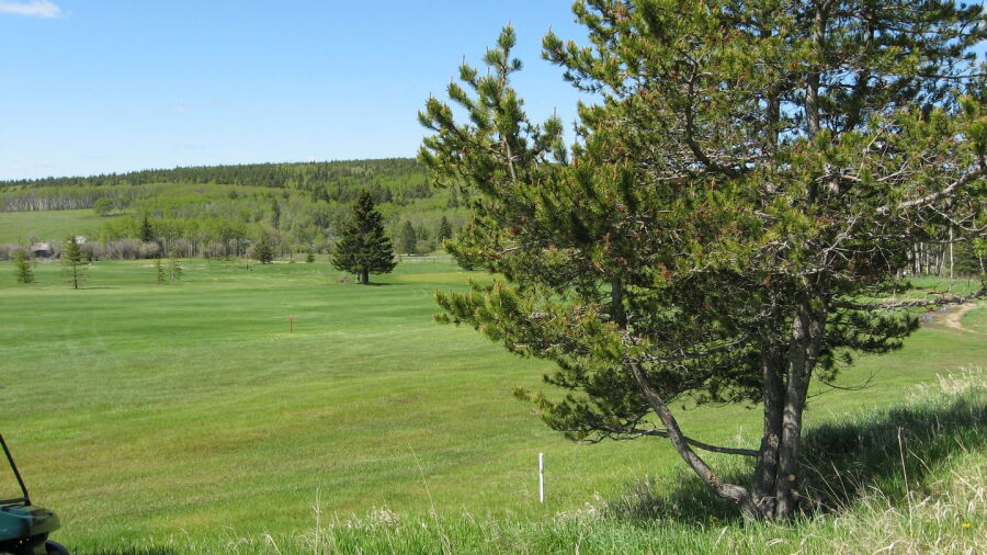 Elkwater Park GC