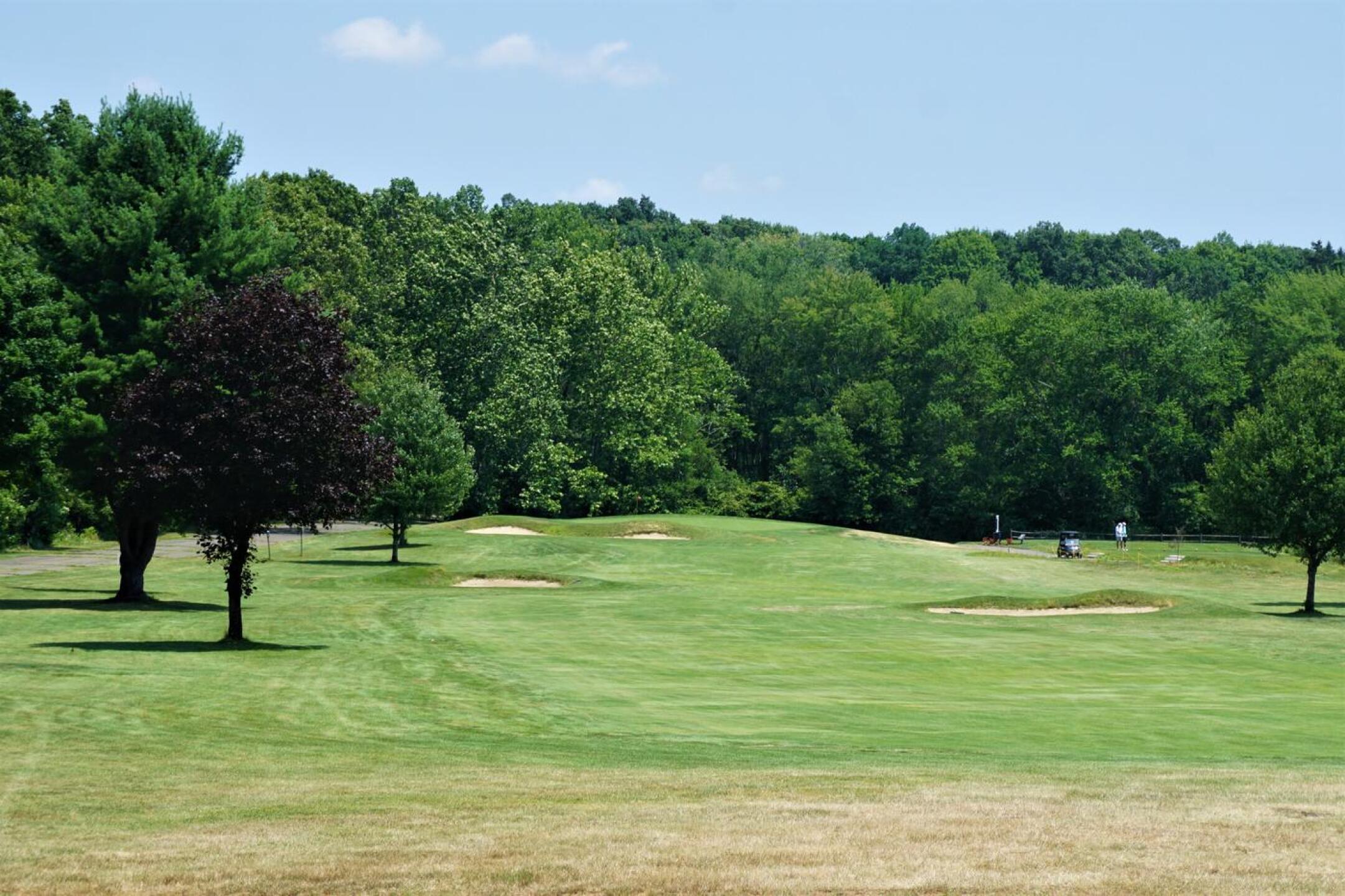 Eleven is 367 yards long and will generally require a drive and short iron. (Photo submitted by AptlyLinked on 07/15/2022)
