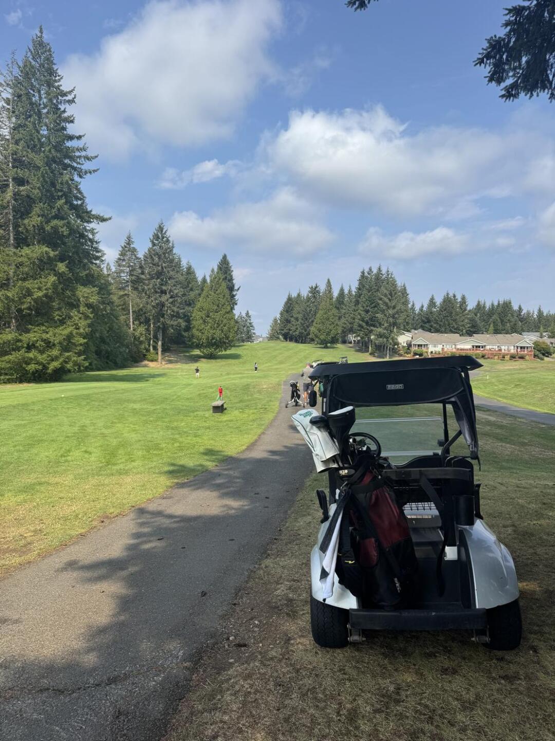 (Photo submitted by NBE9adFGzf5oU9YID5vq on 09/01/2025)