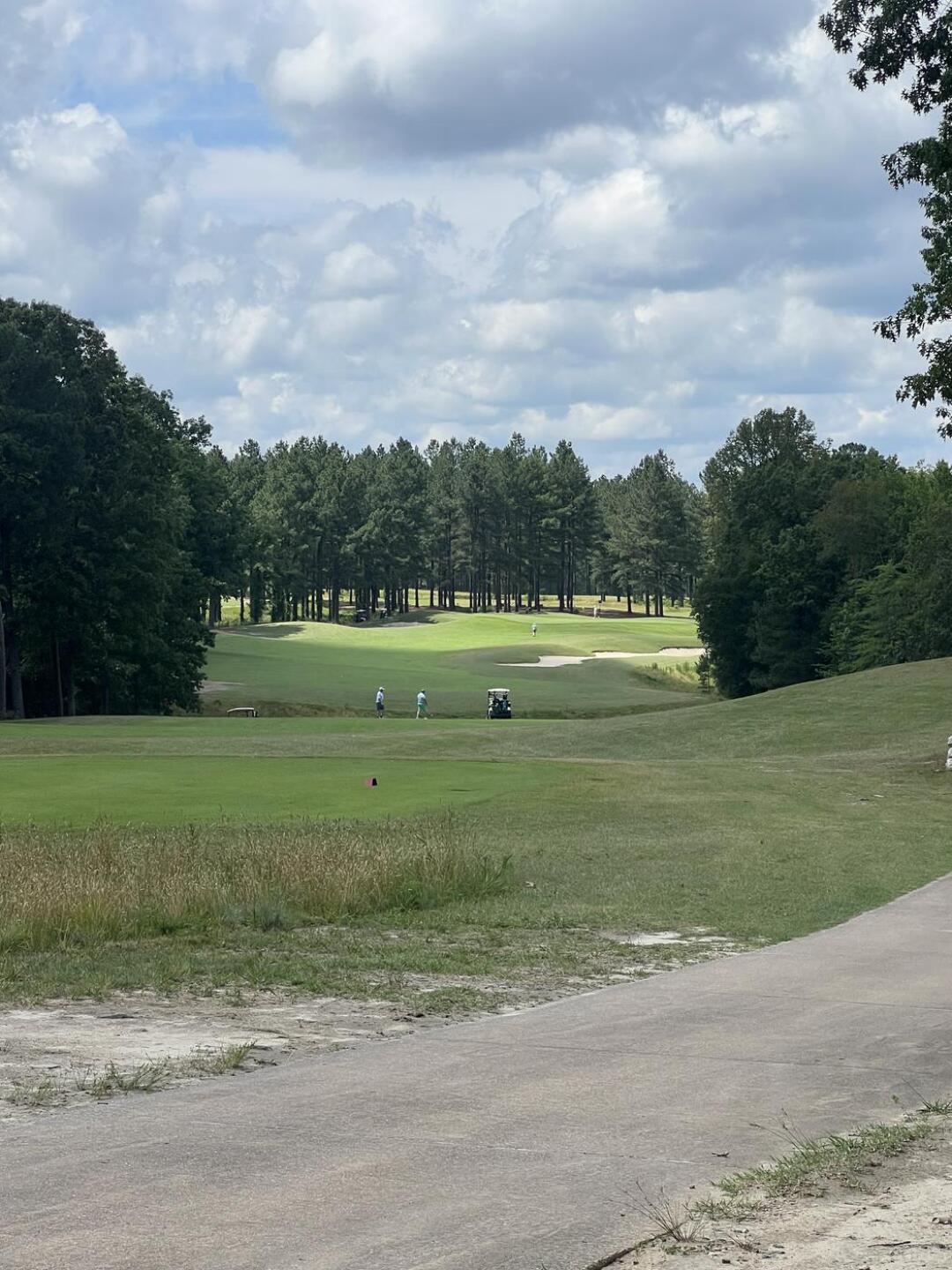 (Photo submitted by reereefox on 06/14/2025)