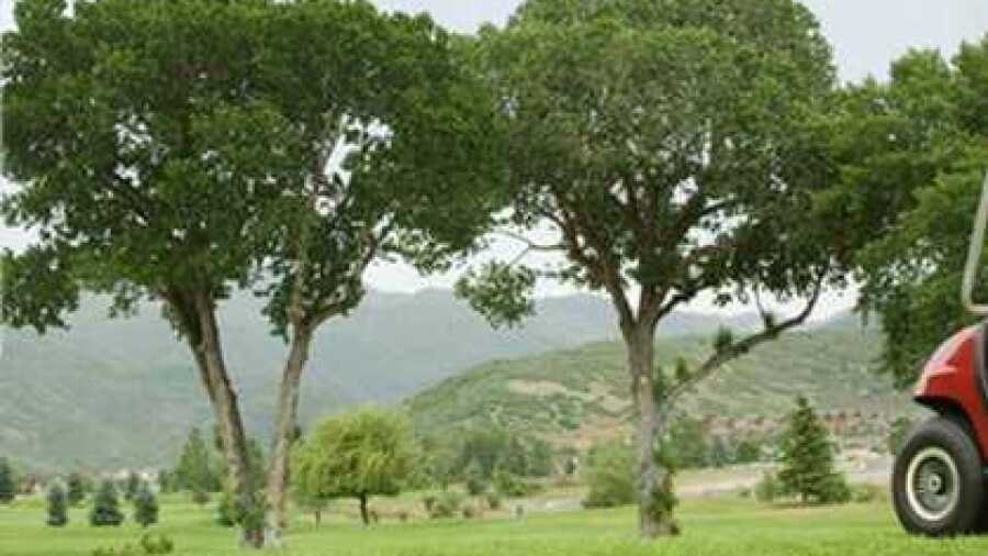 Pine Meadow GC