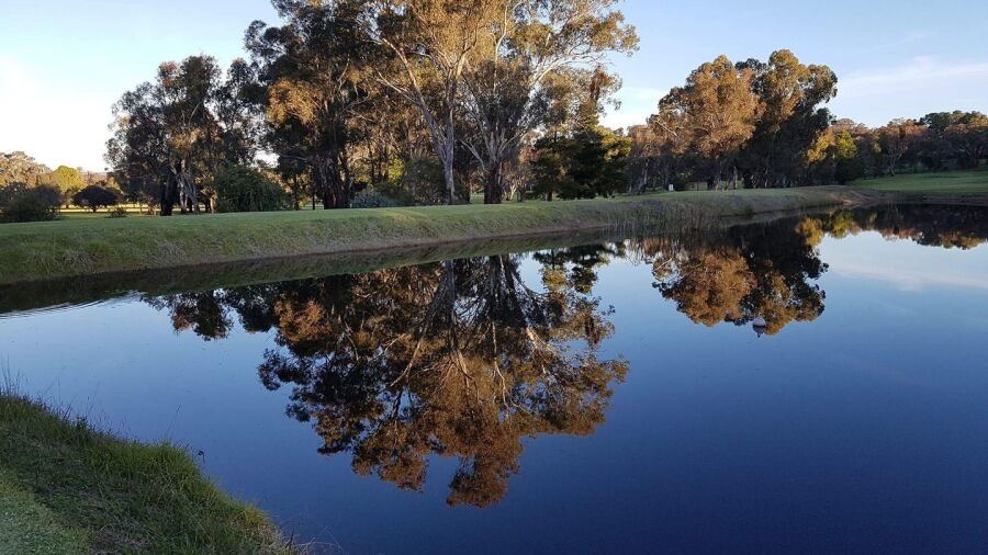 Cootamundra CC