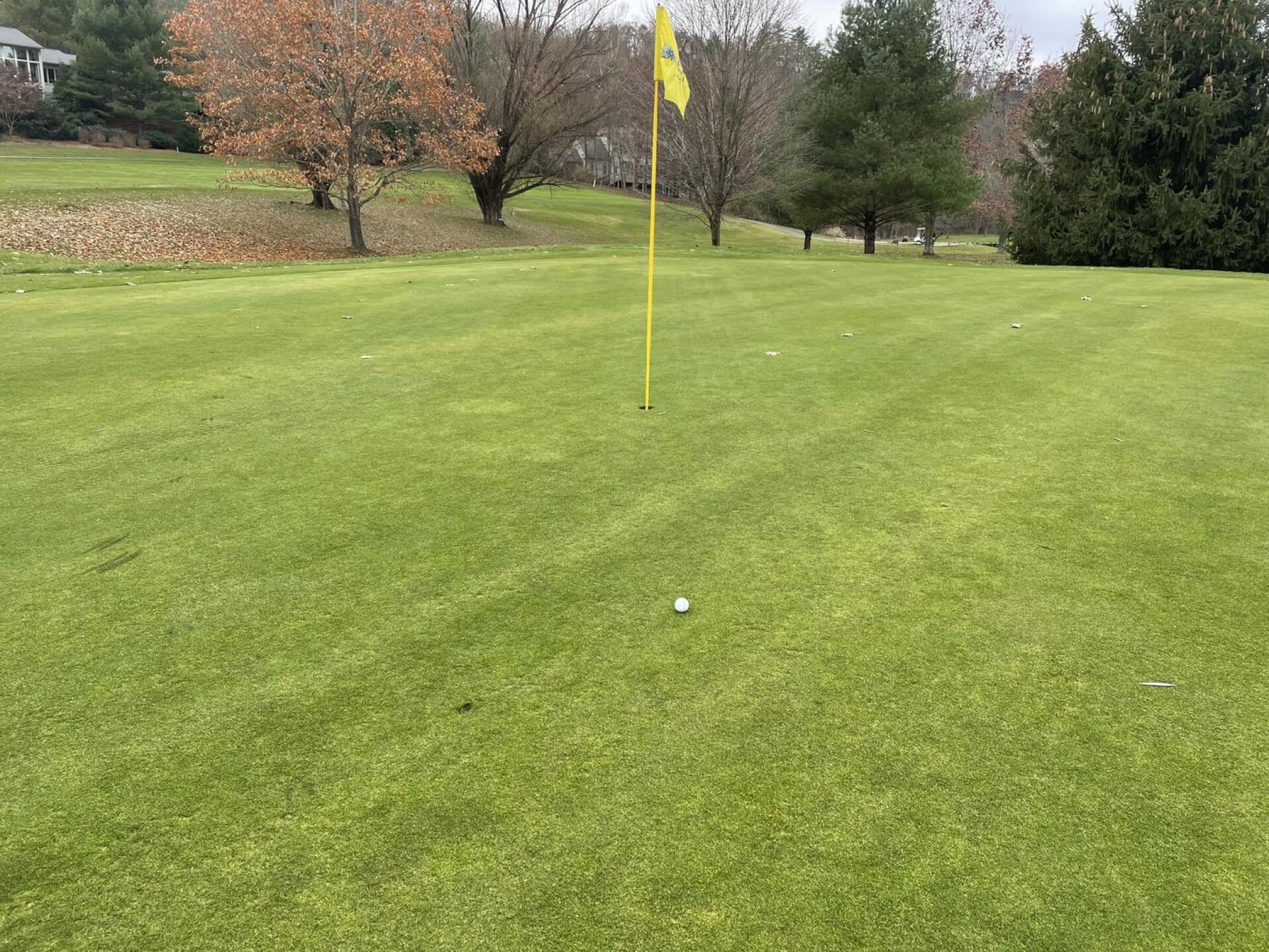 (Photo submitted by Cardoso142 on 11/22/2021)