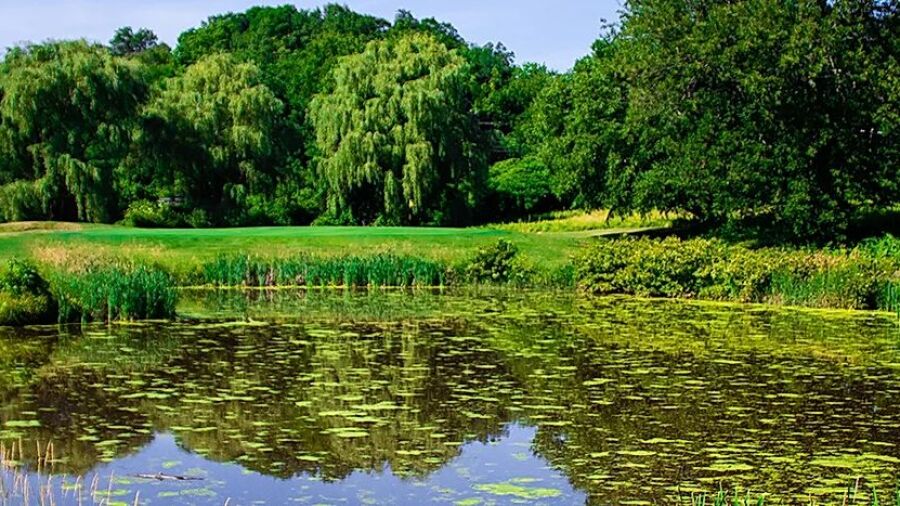 Blue Fox Run GC