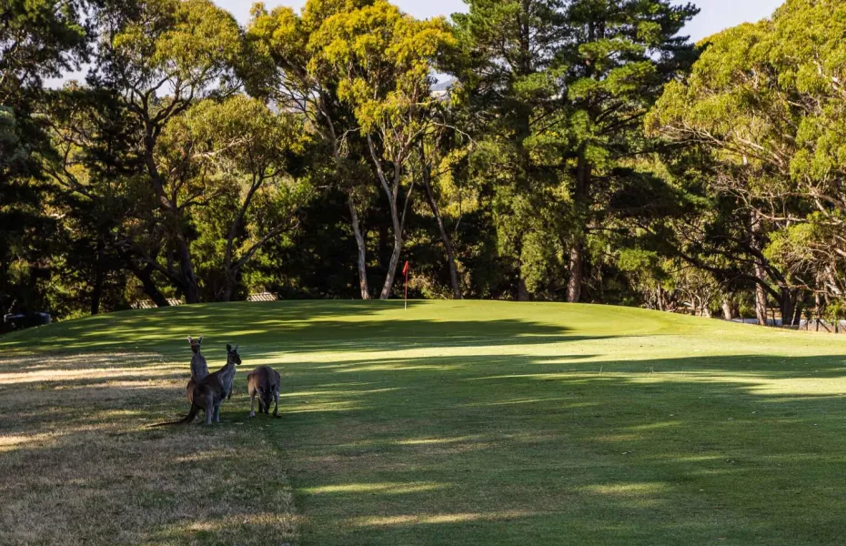 Highercombe GCC: #16